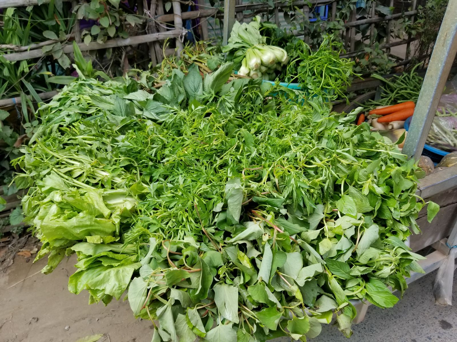 Muôn nẻo "xe hàng" miền biên viễn