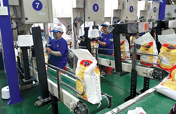 Củng cố năng lực để giảm áp lực thị trường