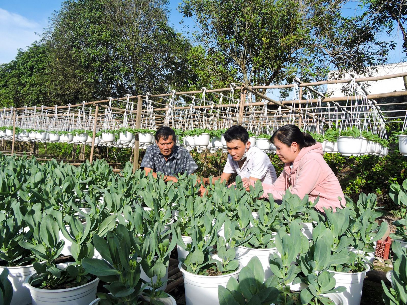 Nhờ tiếp sức từ nguồn vốn vay NHCSXH, anh Nguyễn Văn Dũng (giữa), ngụ khu vực Bình An, phường Long Hòa khởi nghiệp trồng hoa.