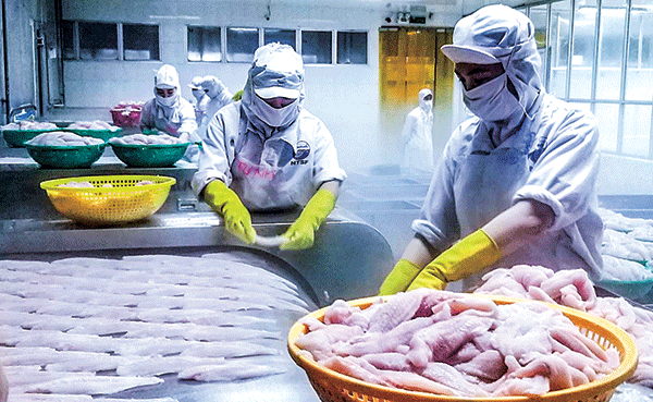 Phát huy hiệu quả vai trò vốn tín dụng đối với phát triển doanh nghiệp