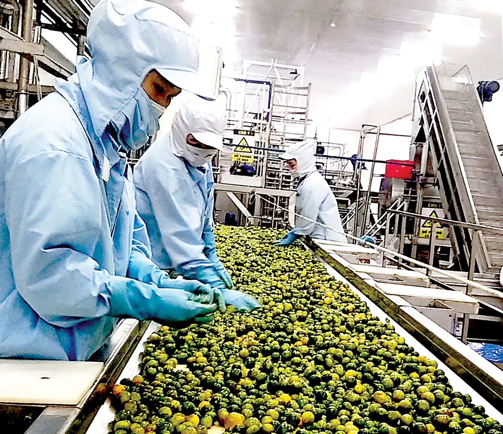 Dây chuyền chế biến nước ép trái cây xuất khẩu của Công ty TNHH MTV Chế biến nông sản Tiến Thịnh.
