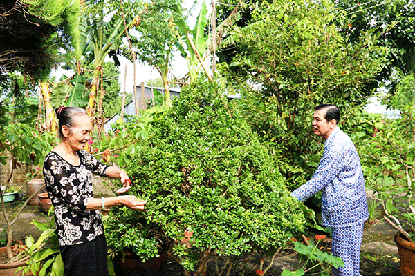 Vun vén hạnh phúc trọn đời
