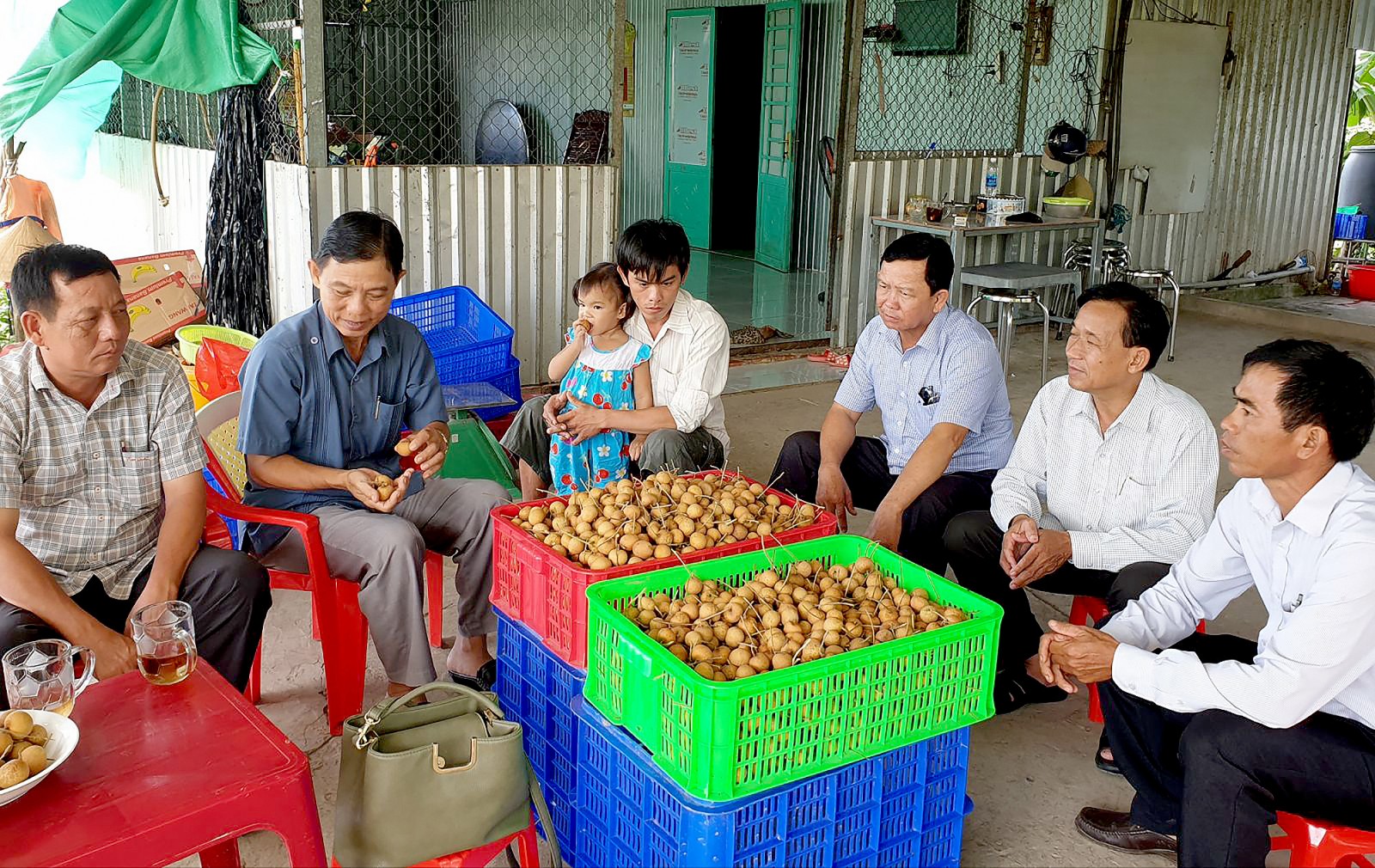 Lãnh đạo HND thành phố đến thăm HTX cây ăn trái Thái Thanh (xã Thới Hưng, huyện Cờ Đỏ).