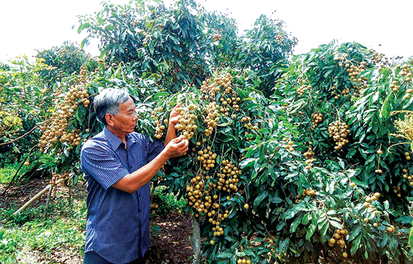 10 năm, nông thôn đồng bằng “thay áo” mới <br> Bài 2: Những bài học kinh nghiệm</br>