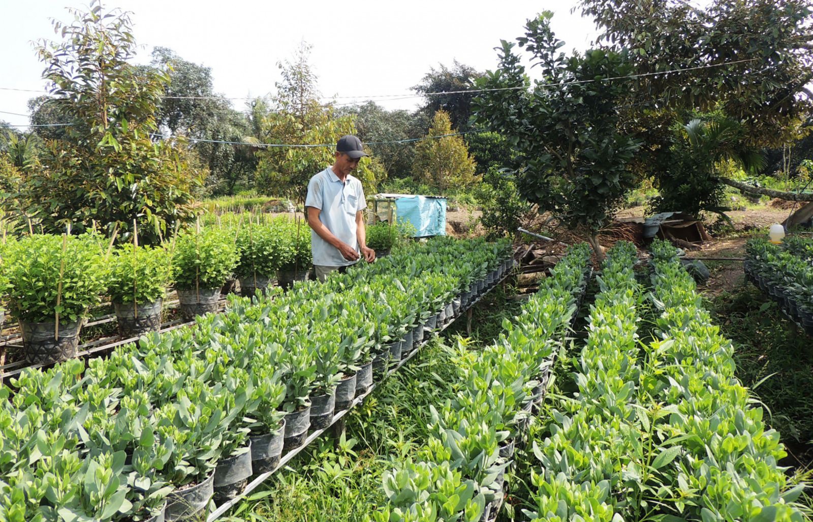 Xây dựng nông thôn mới là quá trình thường xuyên, liên tục