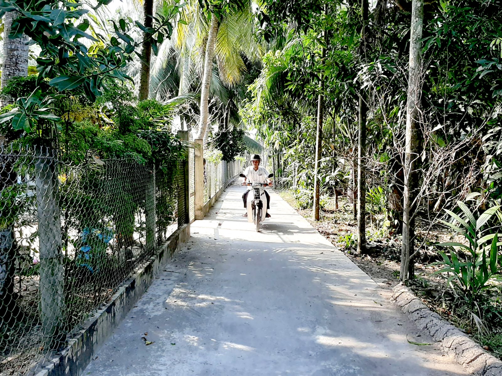 Khơi sức dân