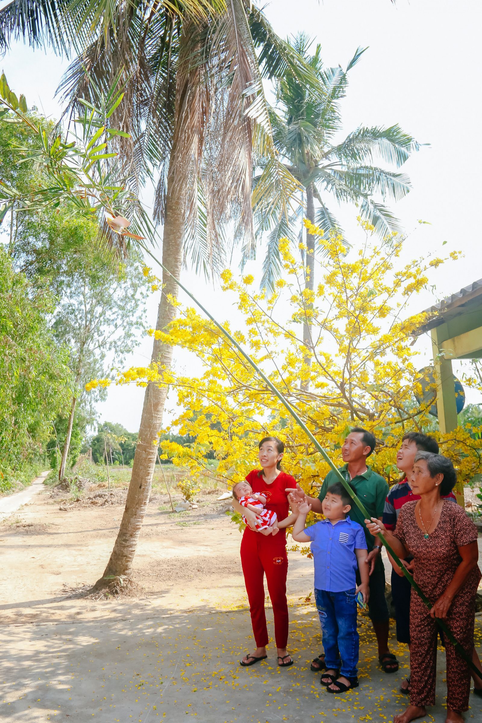 Sắc Xuân đất nước