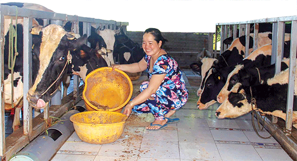 Evergrowth - 15 năm vững bước
