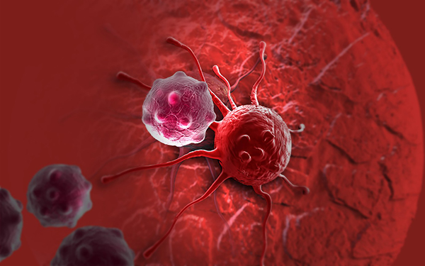Làm nóng khối u ung thư giúp hệ miễn dịch dễ tìm diệt - Báo Cần ...