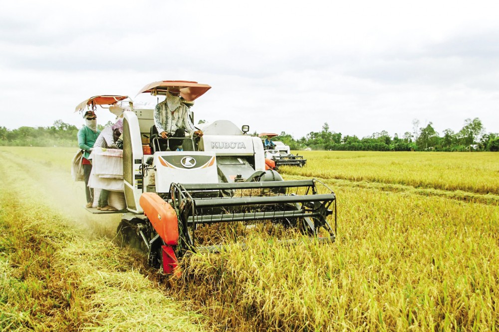 Đáp ứng đủ về số lượng, chuẩn về chất lượng nhu cầu lương thực, thực phẩm