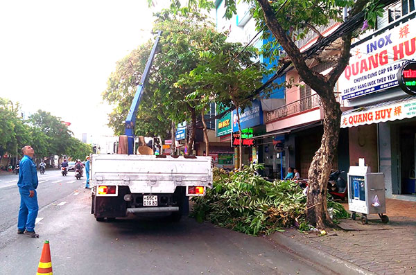 Ninh Kiều chủ động phòng, tránh thiên tai