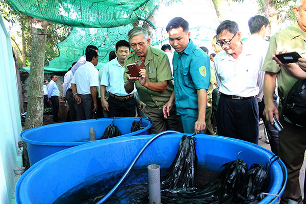 Nhân rộng các mô hình kinh tế hiệu quả của cựu chiến binh