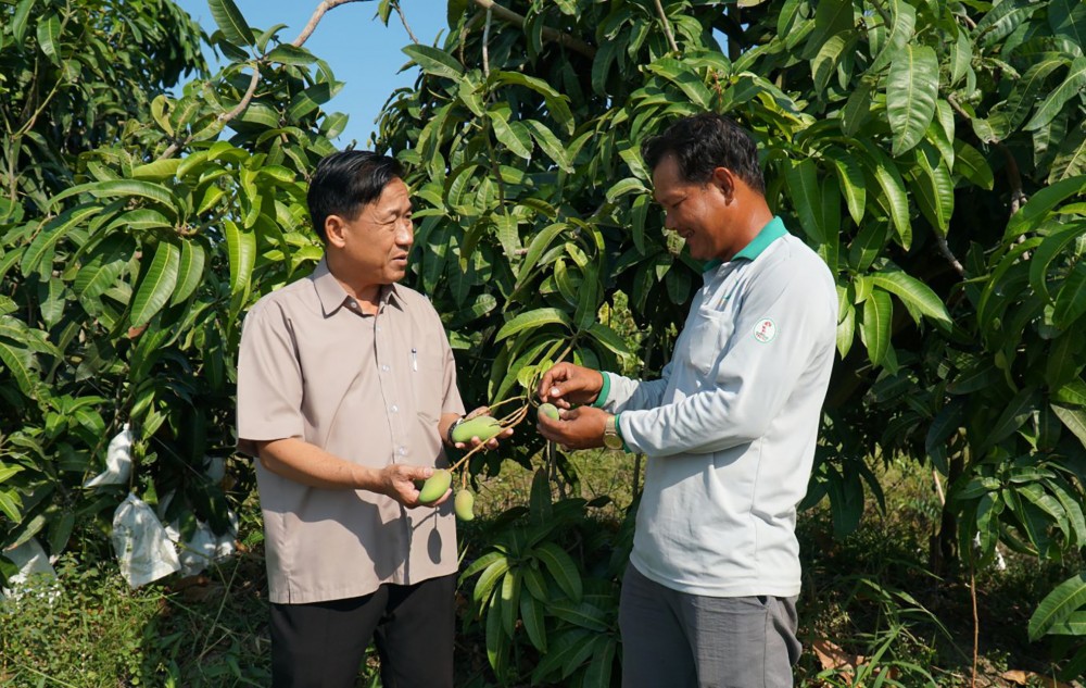 Tập trung phát triển kinh tế-xã hội huyện Cờ Đỏ
cao hơn mặt bằng chung của các huyện ngoại thành