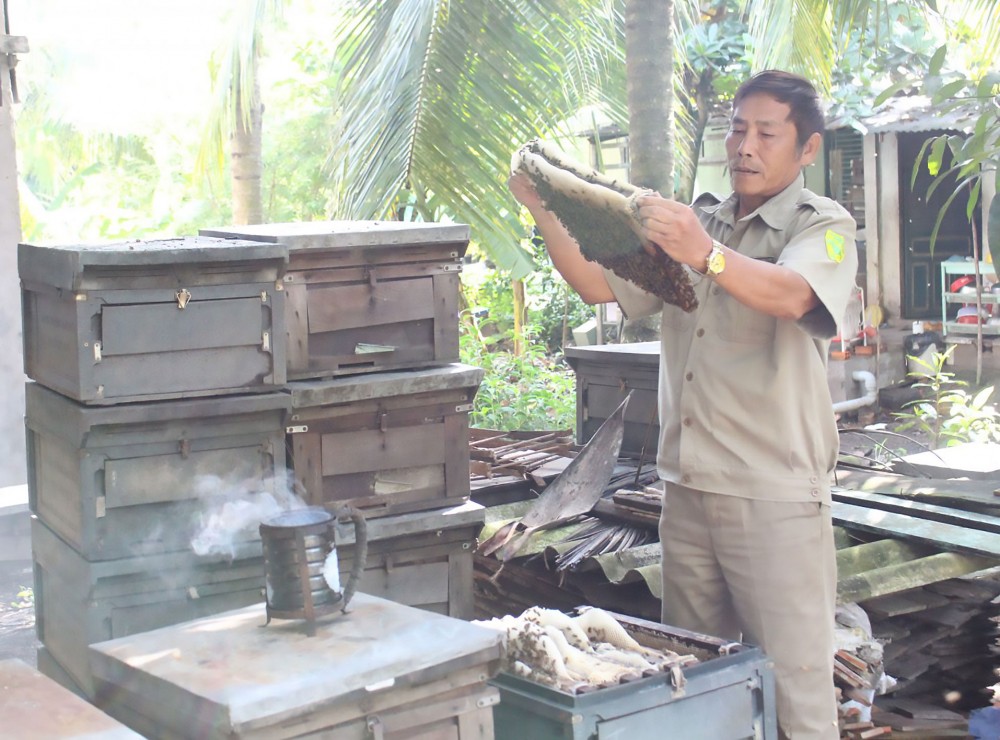 Cựu chiến binh quận Ô Môn
thi đua gương mẫu Cựu chiến binh Nguyễn Văn Chủ chăm sóc đàn ong.
