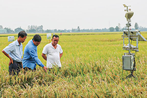 Những mô hình nông nghiệp công nghệ cao ấn tượng