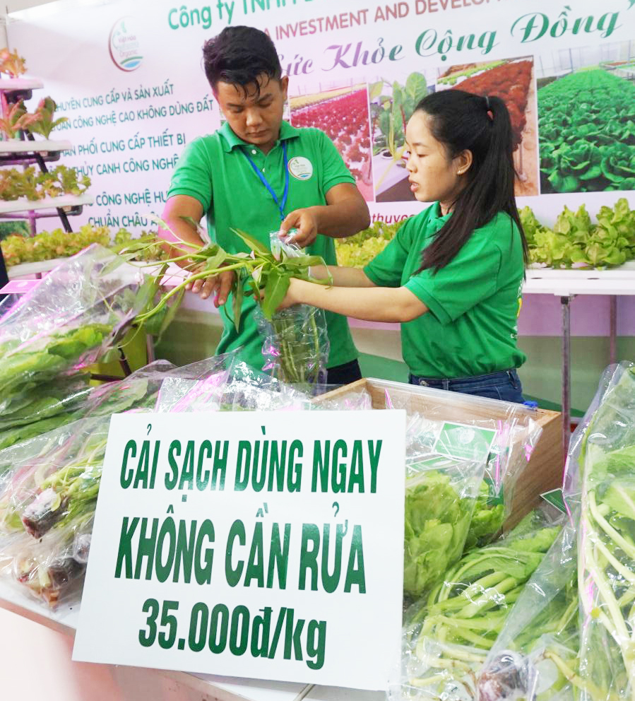 Rau sạch đạt chuẩn VietGAP của Công ty TNHH Đầu tư và Phát triển Minh Hòa.