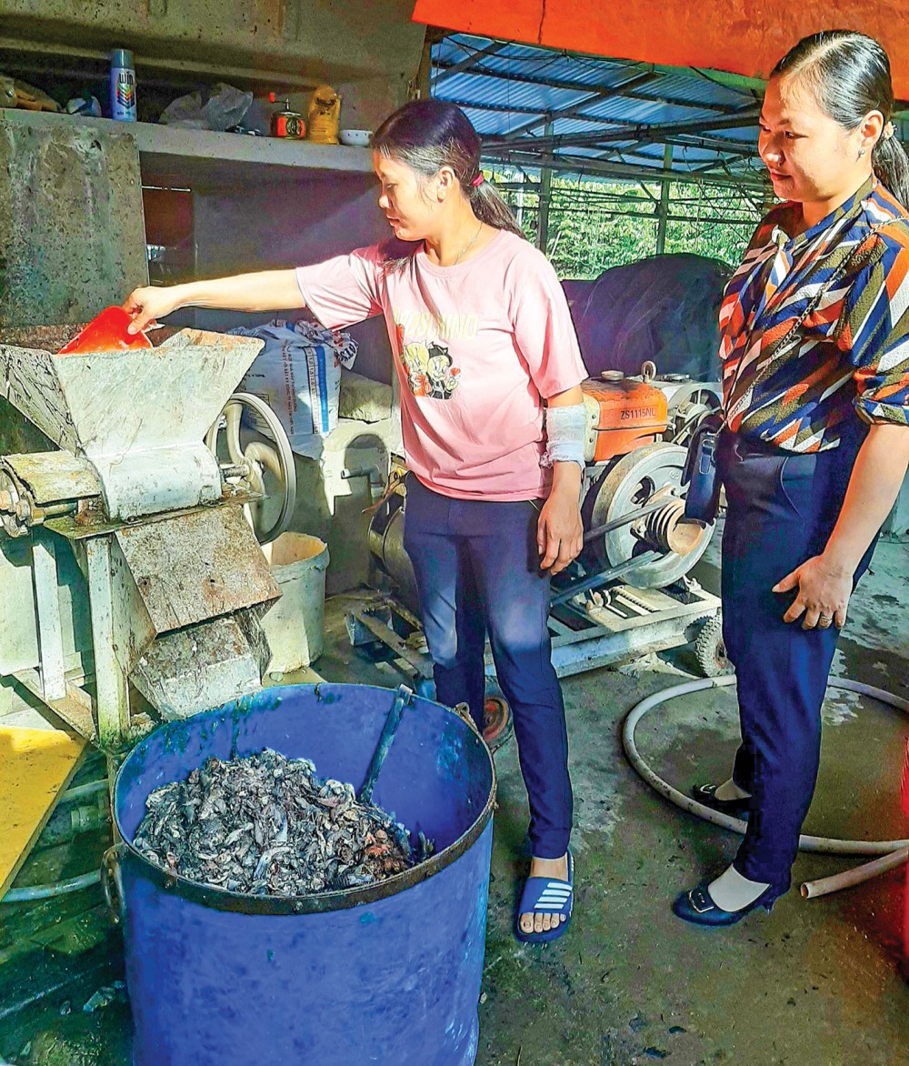 Chi hội trưởng Hai giỏi Mô hình nuôi cá thát lát giống của chị Tâm (bên trái) mang lại hiệu quả kinh tế cao.