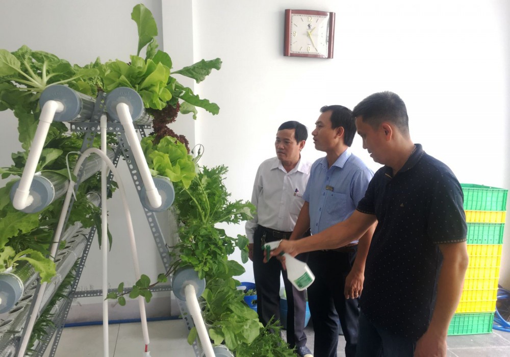 Các đại biểu tham quan mô hình trồng rau thủy canh của một hộ gia đình tham gia vào Dự án VT06. Ảnh: M.H