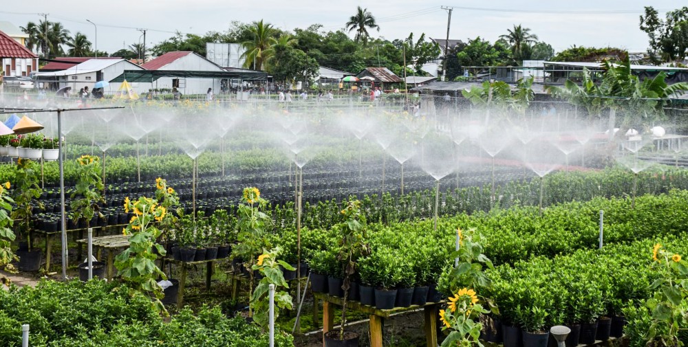 Các địa phương vùng ĐBSCL đẩy mạnh ứng dụng nông nghiệp công nghệ cao. Trong ảnh: Một góc Làng hoa Sa Đéc, tỉnh Đồng Tháp.