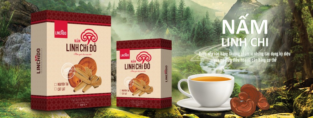 Bí quyết để giải độc gan cải thiện sức khỏe chỉ với một loại trà