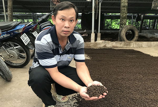 Nuôi trùn quế công nghệ cao