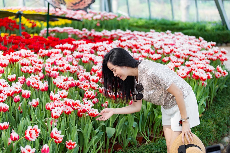 Rực rỡ lễ hội pháo hoa đón năm mới tại Dạ tiệc Vinpearl ba miền