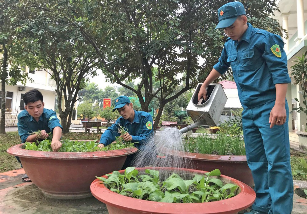 Dân quân thường trực tăng gia sản xuất ở Ban CHQS quận Thốt Nốt.