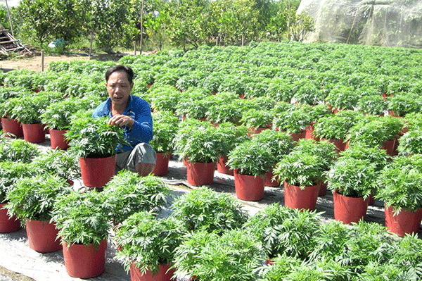 Trợ giúp vốn vay, nâng cao mức sống