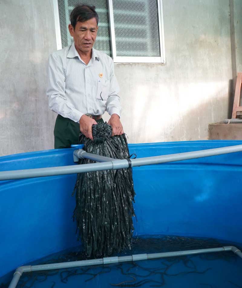 Thi đua gương mẫu CCB Bùi Văn Nhiên đã đầu tư gần 100 triệu đồng để nuôi lươn không bùn trong năm 2020.