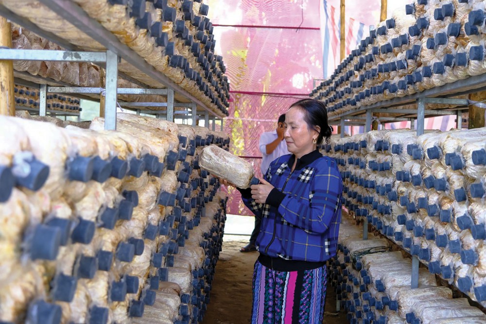 Thực hiện công đoạn phơi sấy trà tại Công ty TNHH chế biến nông sản Kim Nhiên. Ảnh: K. TRUNG