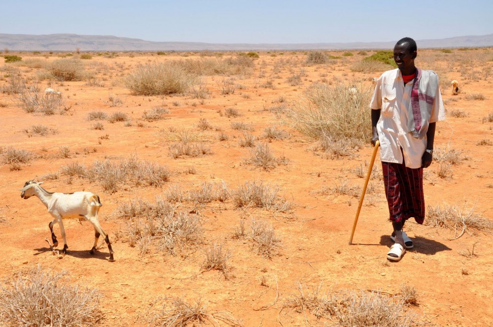 Hạn hán khiến nhiều nơi ở châu Phi trở nên khô cằn. Ảnh: Oxfam East Africa