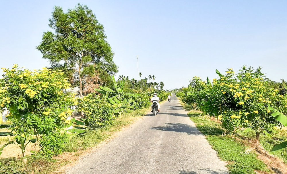 Tuyến đường đẹp ở xã Trường Thắng góp phần tạo cảnh quan xã nông thôn mới.