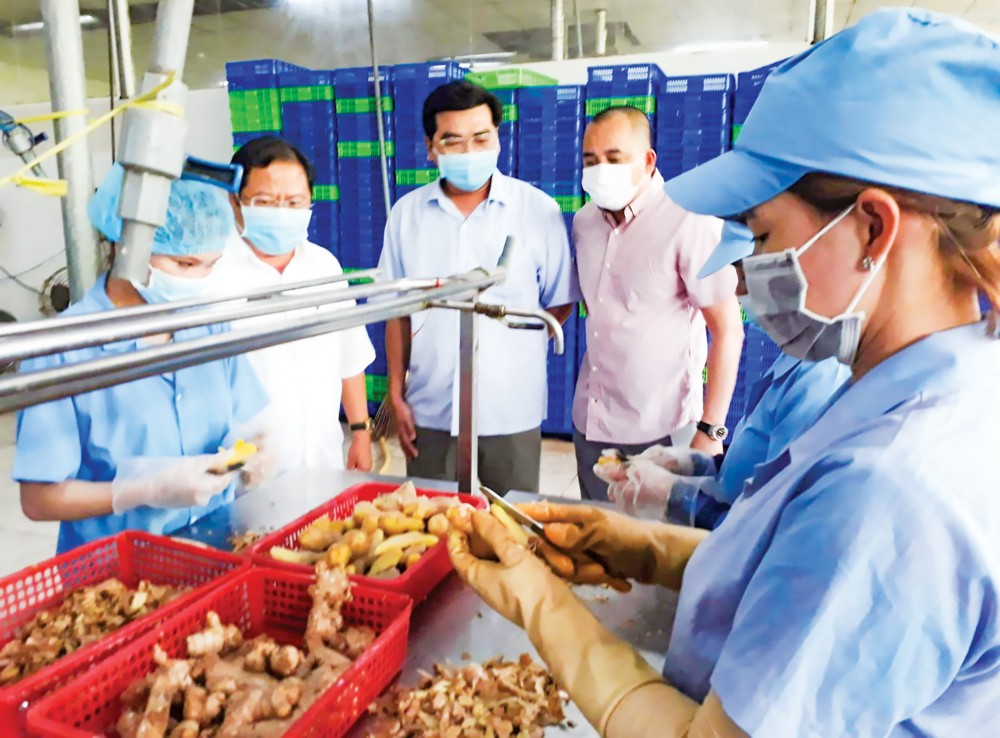 Bình Thủy quyết liệt, sâu sát thực hiện mục tiêu kép Lãnh đạo Quận ủy, UBND quận Bình Thủy tham quan và tìm hiểu tình hình hoạt động của Công ty CP BJ&T (phường Long Tuyền).