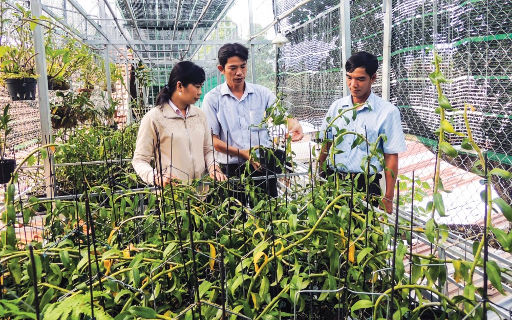 Mô hình trồng lan tại Câu lạc bộ Hoa lan Phú Thứ, phường Phú Thứ, quận Cái Răng.