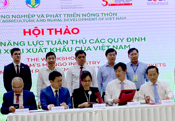 Nâng cao năng lực tuân thủ các quy định đối với xoài xuất khẩu