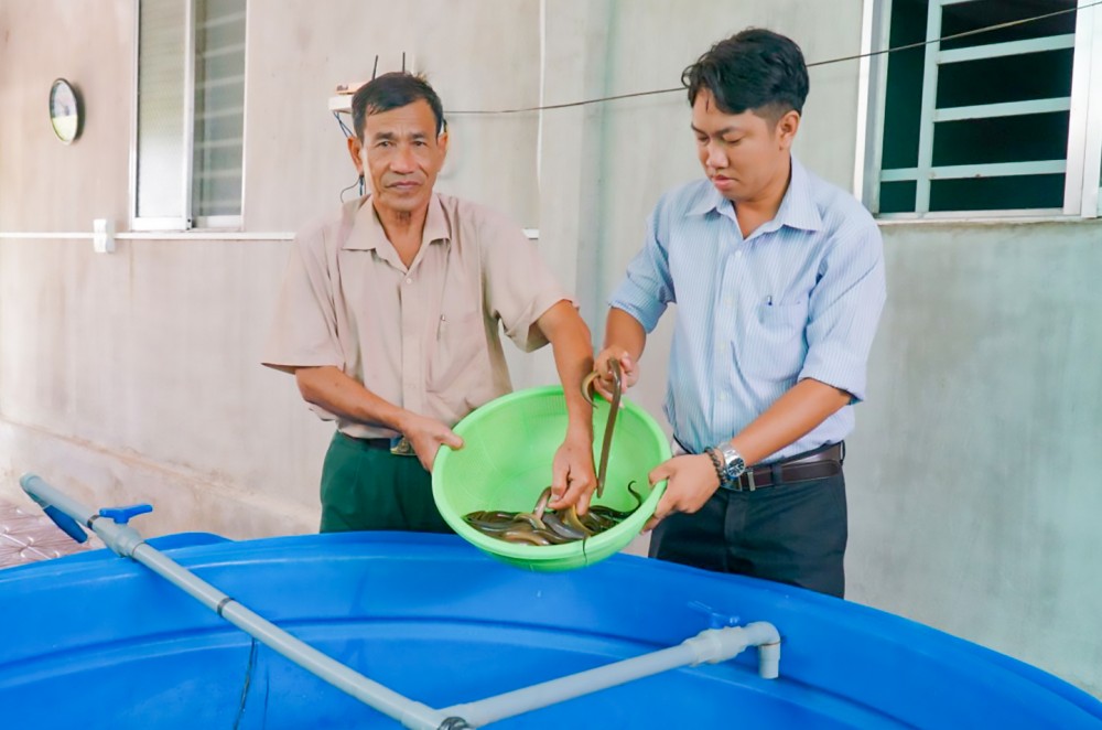 Ông Bùi Văn Nhiên tham quan mô hình nuôi lươn không bùn của hội viên.