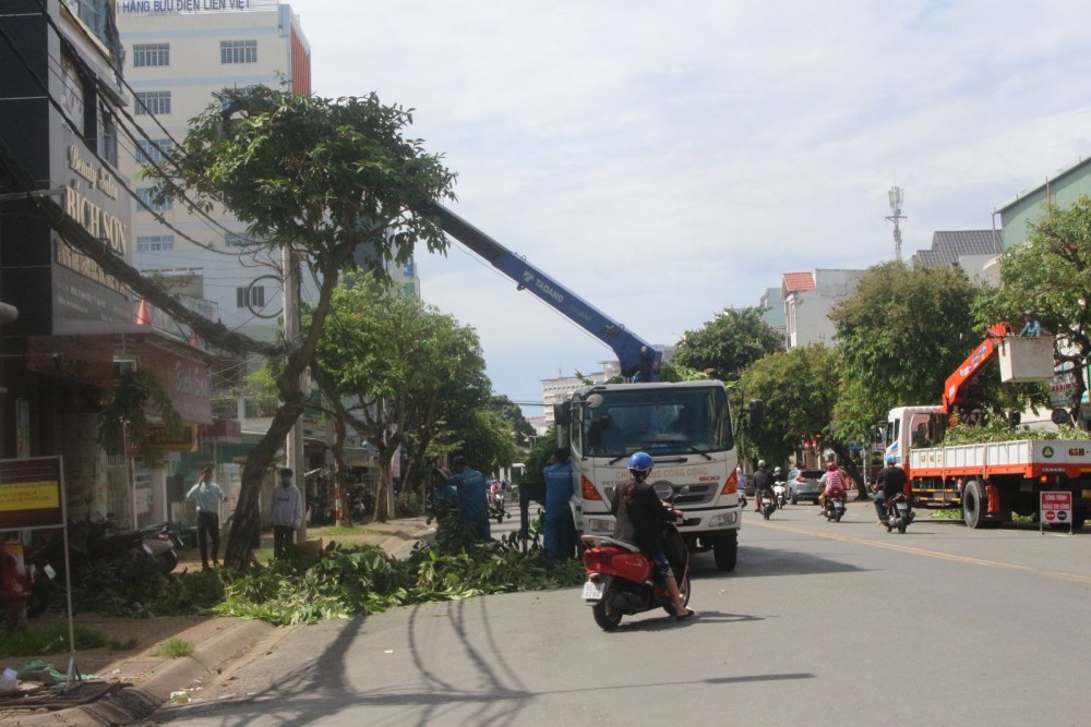 Đơn vị chuyên môn cắt tỉa cây xanh trên địa bàn quận Ninh Kiều, hạn chế cây xanh đổ ngã, ảnh hưởng người đi đường.