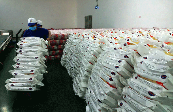 Kim ngạch xuất khẩu tăng trưởng khá so với cùng kỳ năm trước