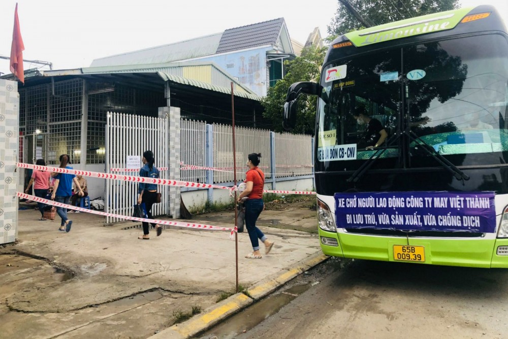 Công ty TNHH May xuất khẩu Việt Thành tổ chức xe đưa công nhân đến nơi sản xuất tập trung. Ảnh: CTV.