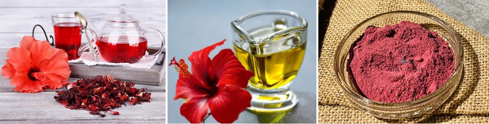Dâm bụt - Thảo dược từ thiên nhiên Dâm bụt có thể dùng chữa bệnh dưới dạng trà, dầu hoặc bột.