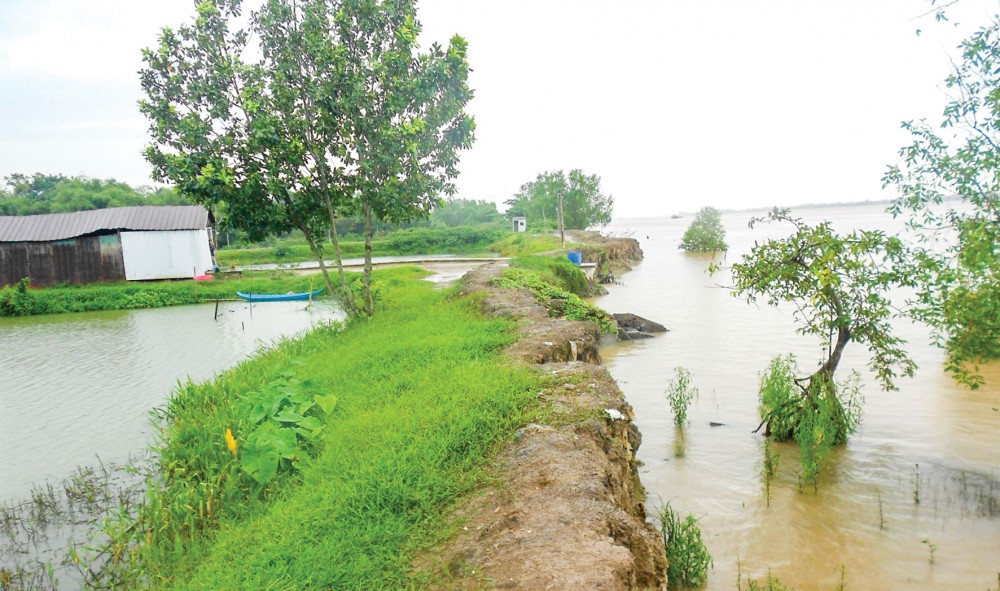Đoạn bờ sông Hậu thuộc xã Tân Quới, huyện Bình Tân nơi Dự án đê bao dọc sông Hậu sẽ đi qua trong thời gian tới.