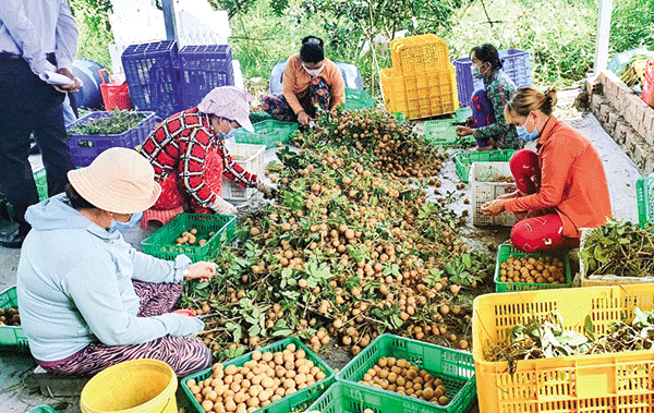 Kết nối thúc đẩy cung - cầu nông, thủy sản