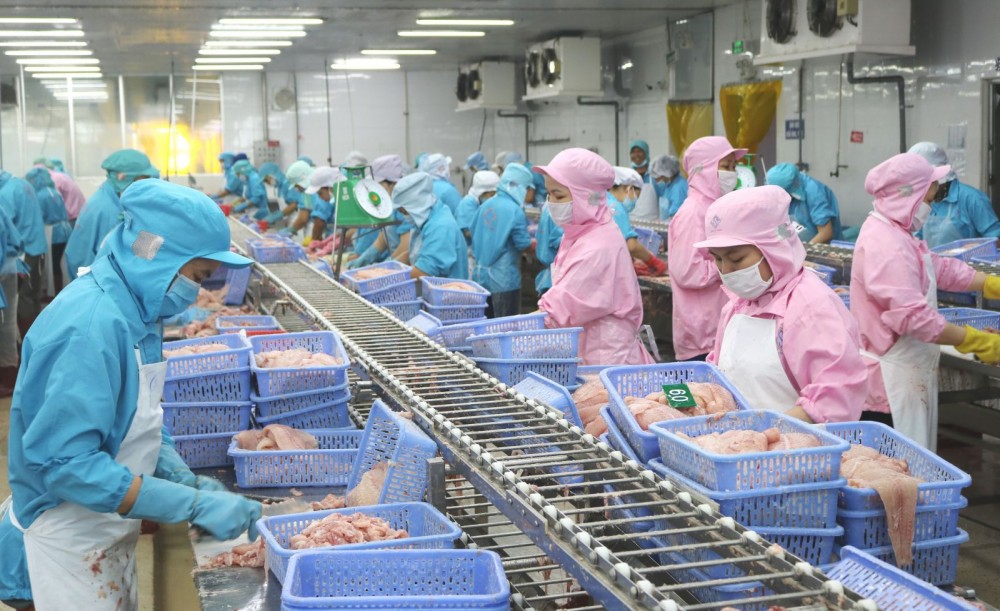 Hoạt động sản xuất tại một doanh nghiệp chế biến thủy sản xuất khẩu tại Khu công nghiệp Trà Nóc 2, quận Ô Môn. Ảnh: M.H