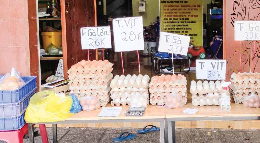 Trứng gia cầm được bày bán tại một điểm kinh doanh ở đường Nguyễn Văn Cừ, quận Ninh Kiều, TP Cần Thơ, với giá bán được niêm yết rõ ràng, tạo thuận lợi cho người mua.