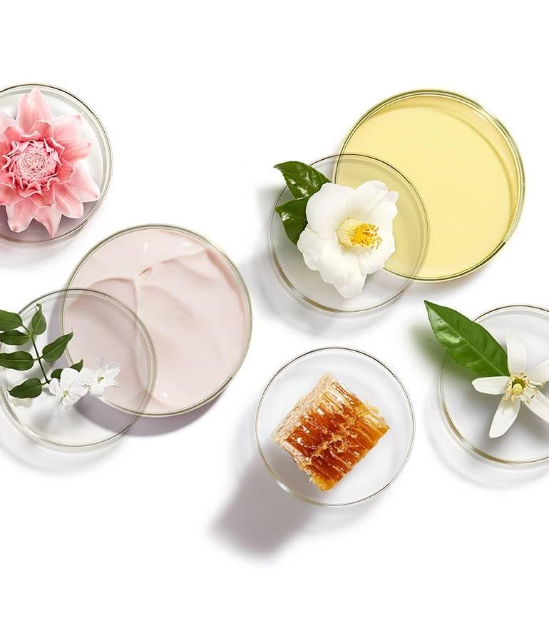 Review mỹ phẩm Nuxe có tốt không? Mua hàng chính hãng ở đâu?