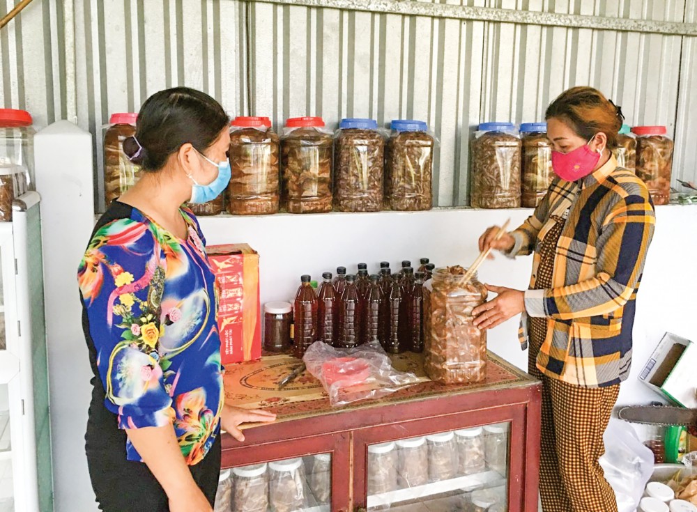 Hỗ trợ phụ nữ nâng cao chất lượng cuộc sống Mô hình sản xuất mắm và nước mắm truyền thống của hội viên phụ nữ xã Thới Tân, góp phần tăng thu nhập.