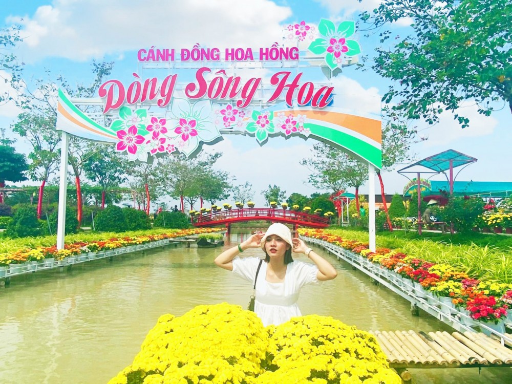 Cánh đồng hoa hồng tại TP Sa Đéc, tỉnh Đồng Tháp.