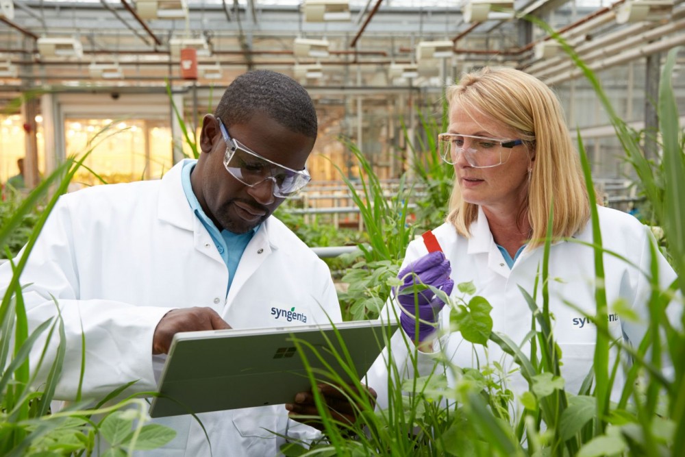 Các nhà khoa học Syngenta thử nghiệm thuốc bảo vệ thực vật trong nhà kính.