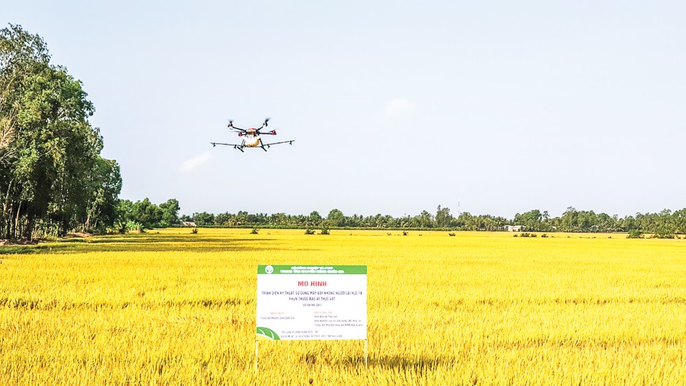 Mô hình trình diễn kỹ thuật máy bay không người lái HLD-18 phun thuốc bảo vệ thực vật tại huyện Vị Thủy, tỉnh Hậu Giang.
