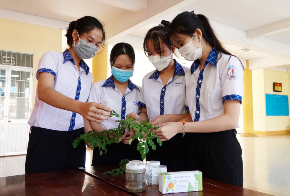 Sáng tạo dùng chùm ngây phục vụ cuộc sống Nhóm tác giả nghiên cứu các sản phẩm từ cây chùm ngây.